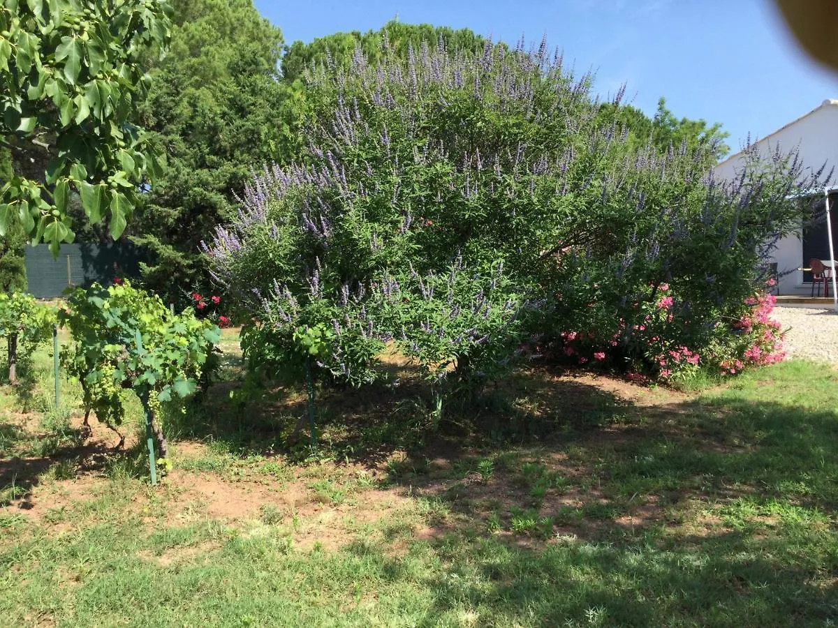 Hébergement de vacances Charmante villa individuelle de plain-pied Vidauban
