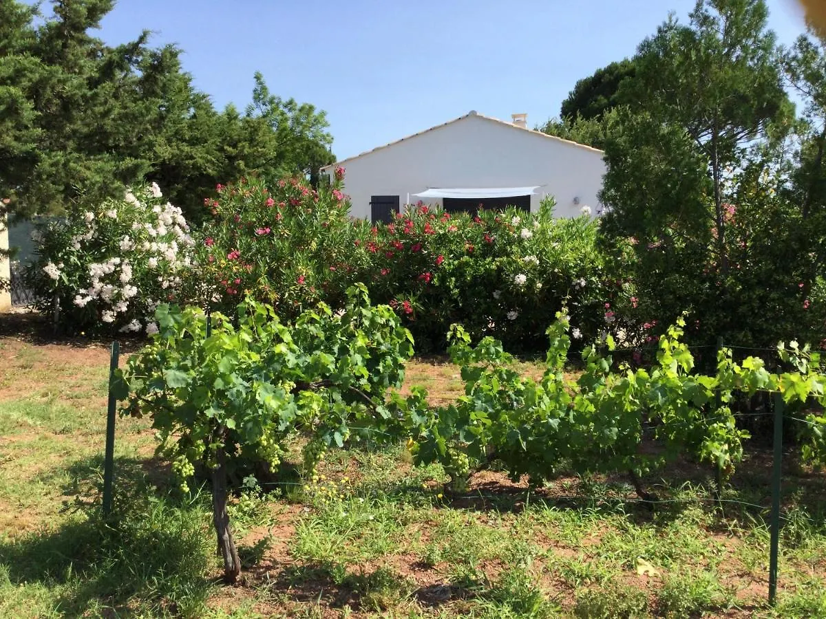 Hébergement de vacances Charmante villa individuelle de plain-pied Vidauban France